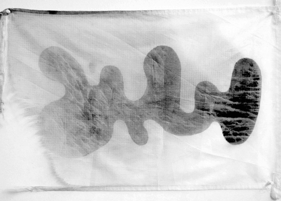 Marcel Dinahet - En cours