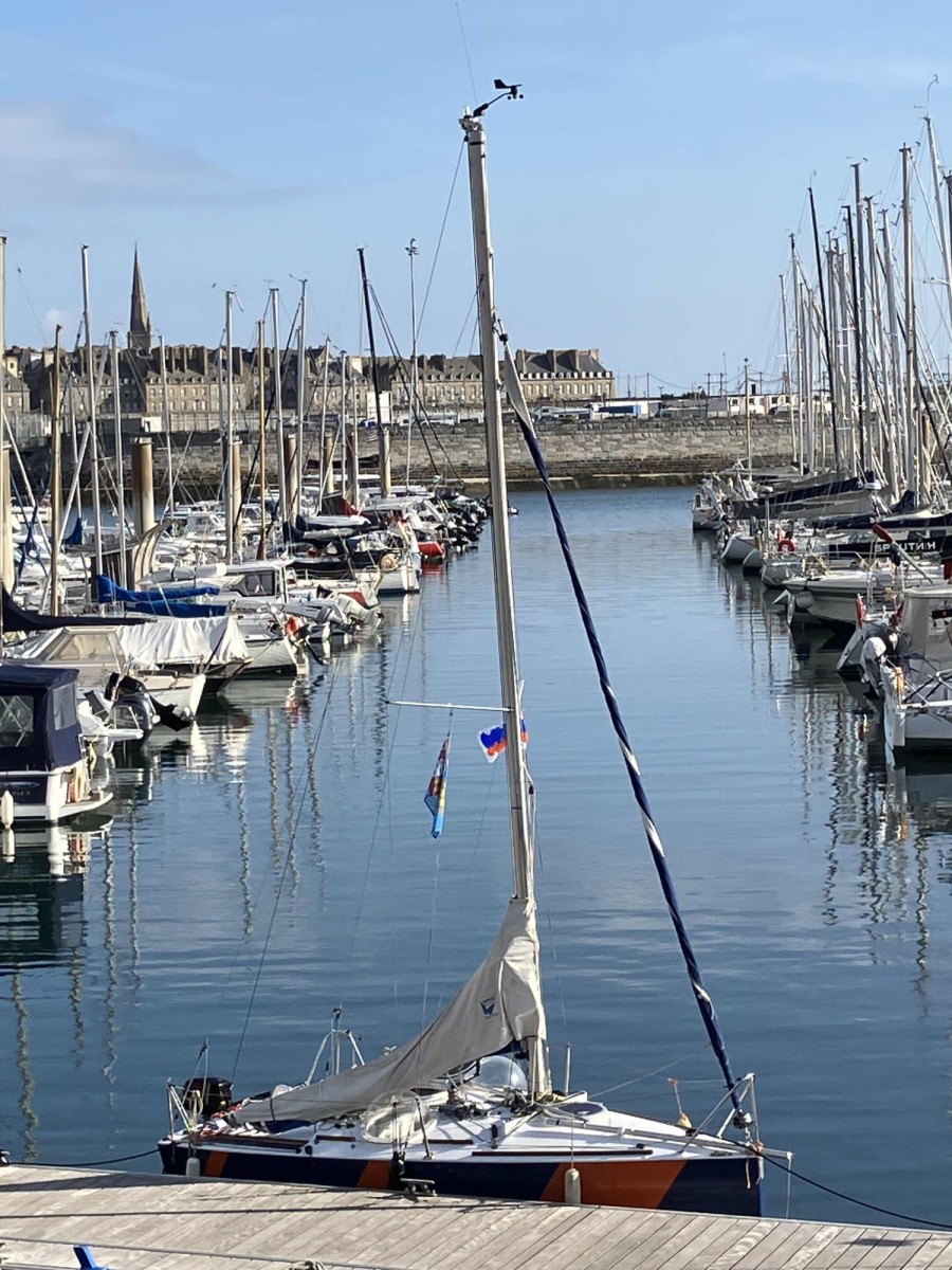 Marcel Dinahet - Le souriceau