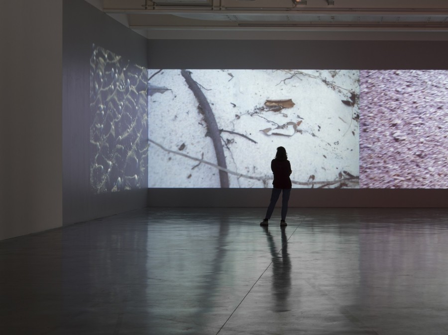 Marcel Dinahet - Expositions