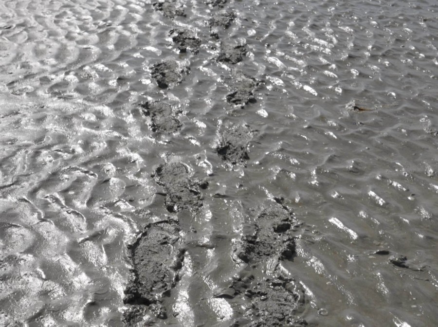 Marcel Dinahet - Travaux